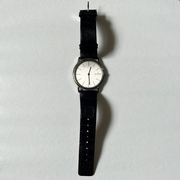 Skagen Theodore Watch 38mm - Picture 1 of 3